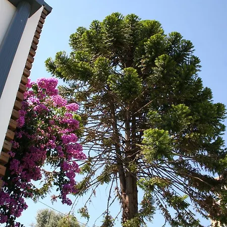 Country house Vilaportuguesa