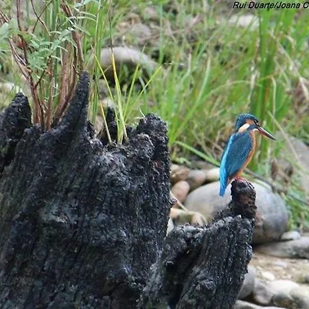 Country house Vilaportuguesa Vila Velha de Rodao