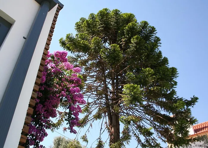 Casa rural Vilaportuguesa